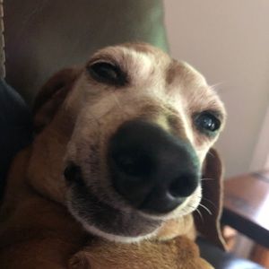 Meet your Posher, Christopher